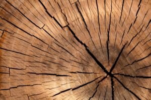 Logging Database Queries in Magento